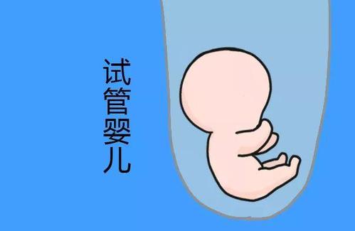 周主任